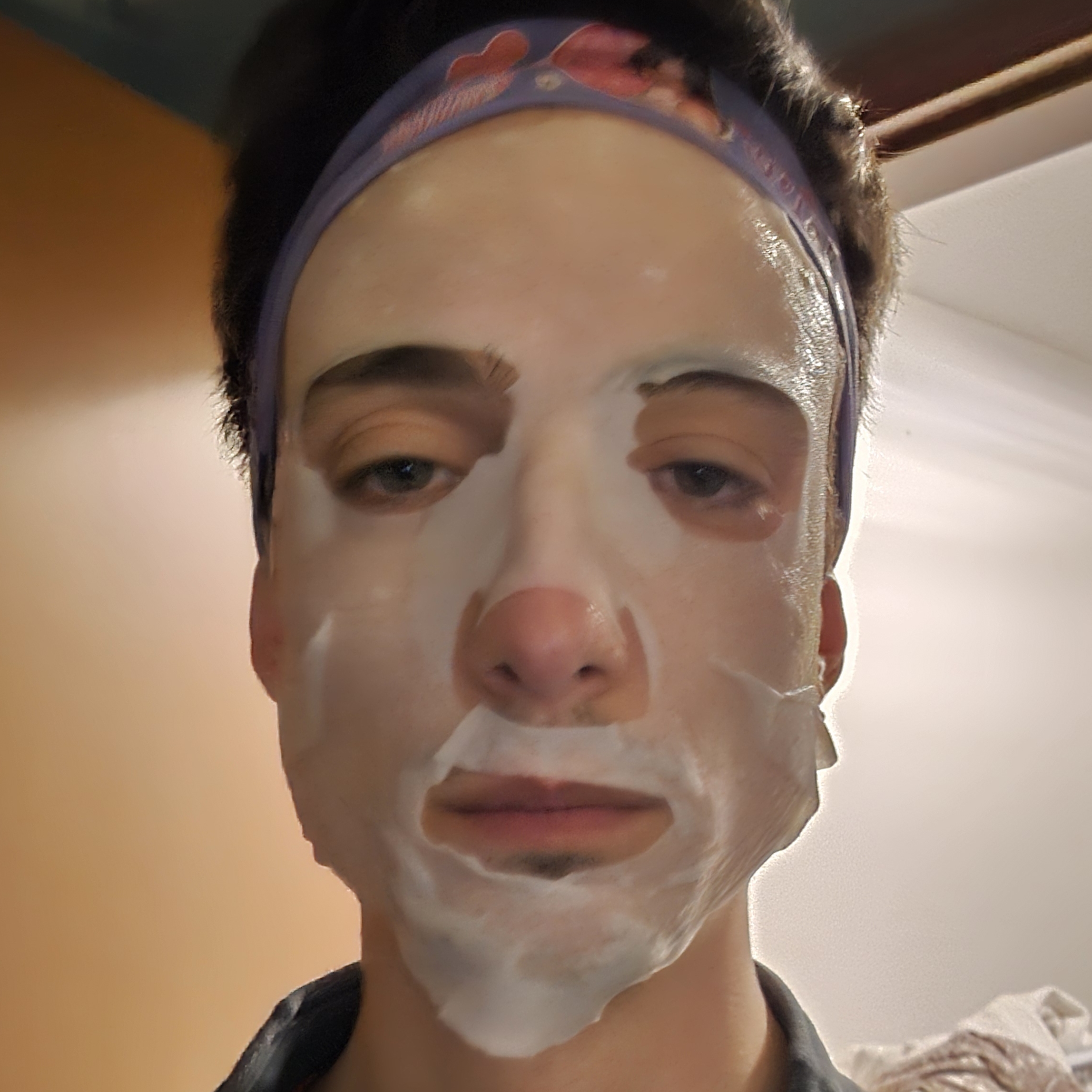 Pippobaudoicon