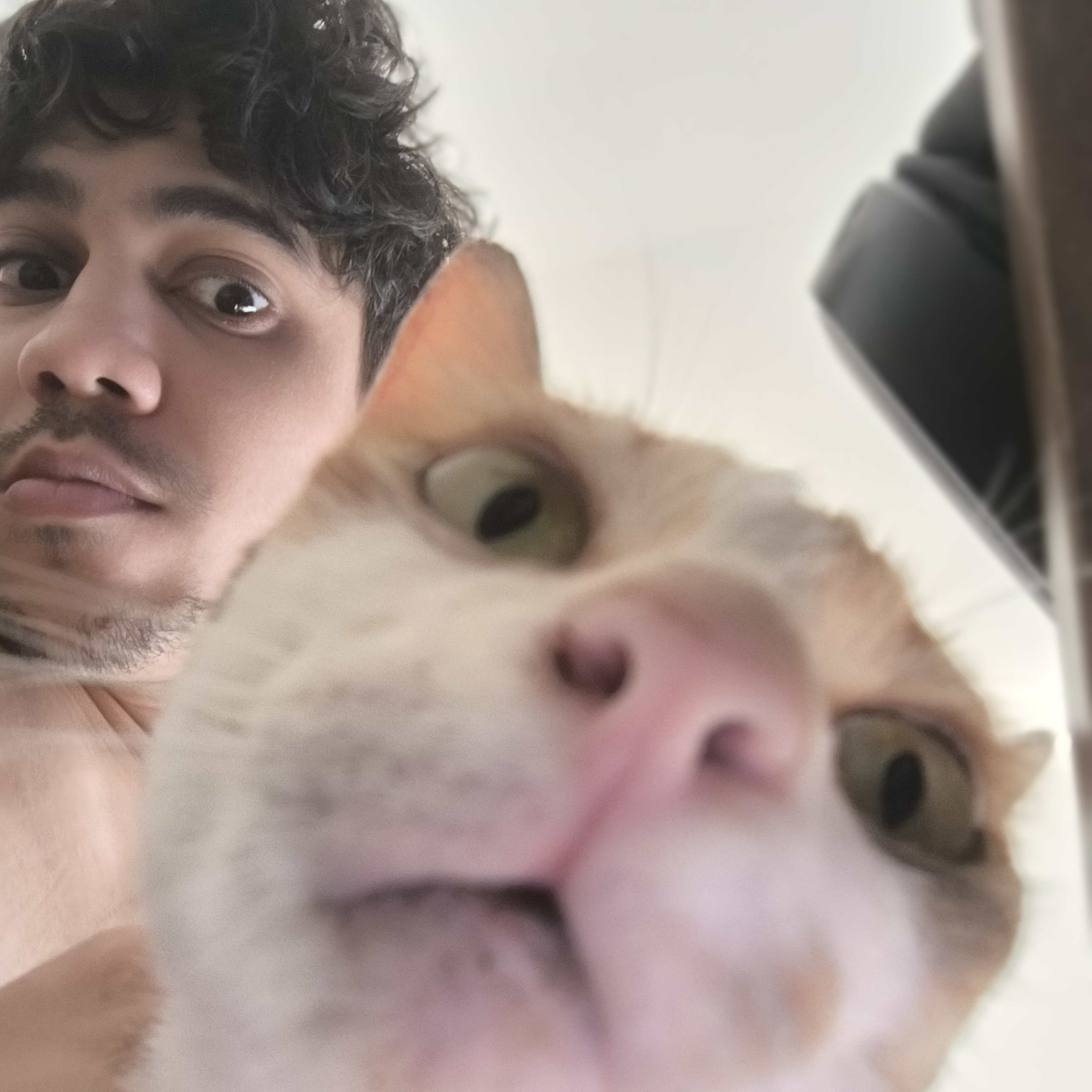 Tahero