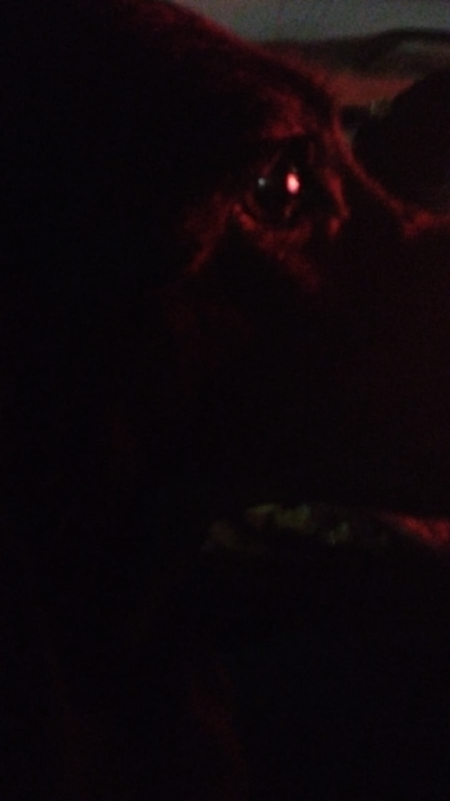 Thumbnail for Im gonna kill m-(blood dawg)